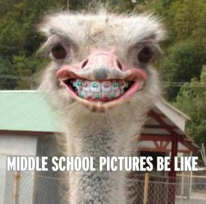 ostrich